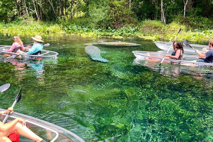 Silver Springs 2 - Excursion guidée d'une heure en kayak éco