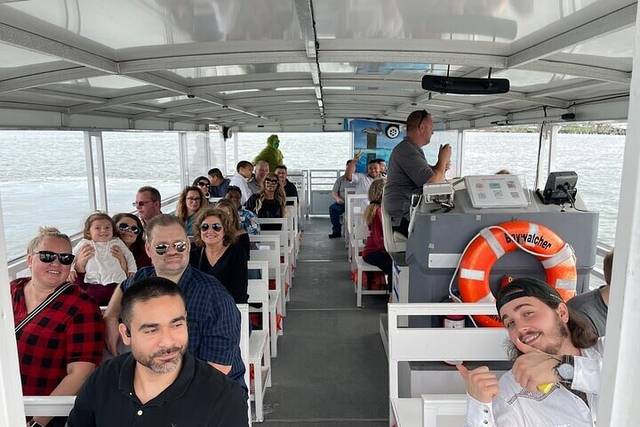 Dolphin Cruise