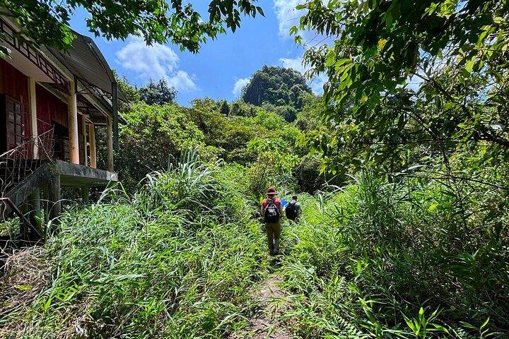 Excursion d'une journée complète au parc national de Cat Ba depuis l'île de Cat Ba