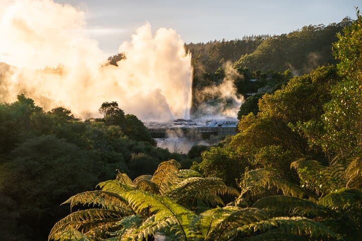 Auckland: Rotorua Te Puia with Haka & Polynesian Spa Small Group