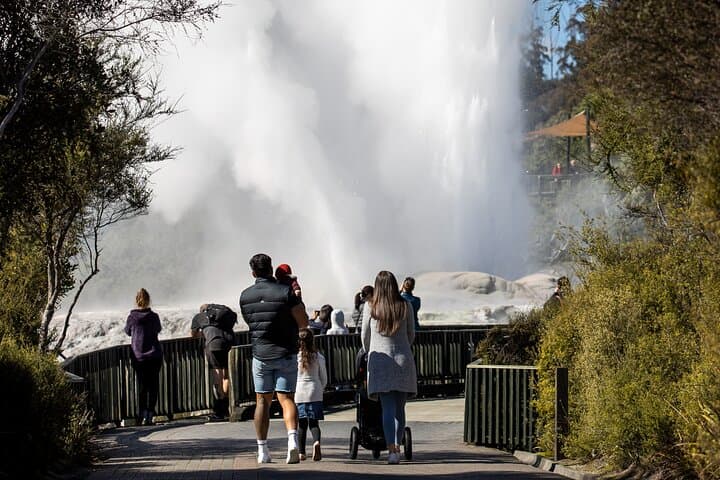 Auckland: Rotorua Te Puia with Haka & Polynesian Spa Small Group