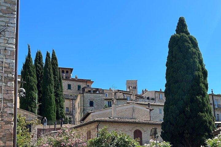 Tour guiado de la Asís Romana y Medieval