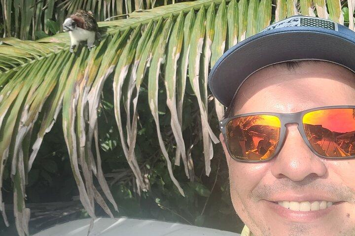 Guided Tour in Sloth Sanctuary and Monkey Island