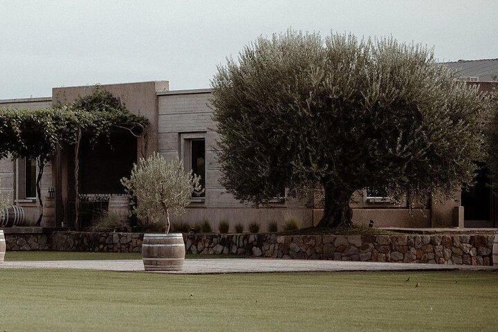 Visita alla cantina Pulenta Estate e pranzo gourmet da Susana Balbo