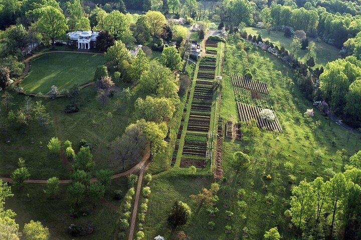 Washington DC: Thomas Jefferson's Monticello Small Group Day Tour