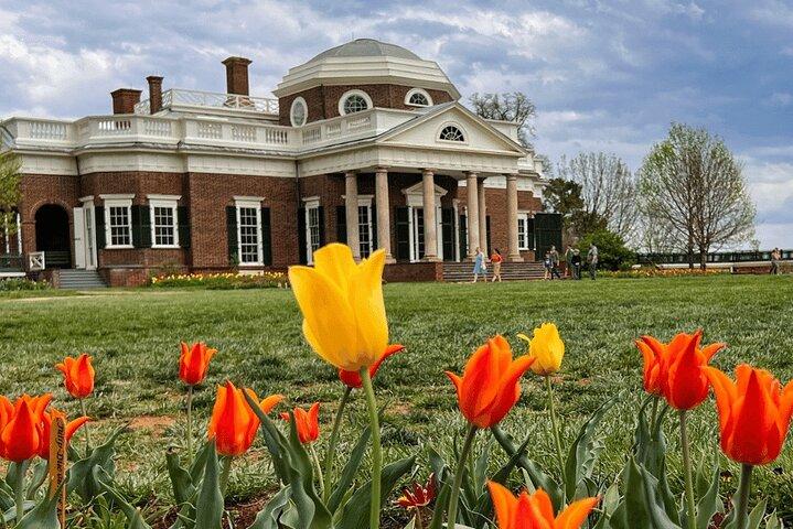 Washington DC: Thomas Jefferson's Monticello Small Group Day Tour