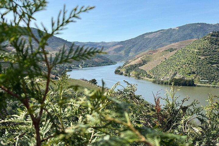 Lisbon to Douro Valley One Way Trip Up to 4 Stops