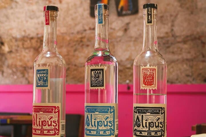 Sips and Savor: Mexico City’s Mezcal Tasting Adventure & Mariachi