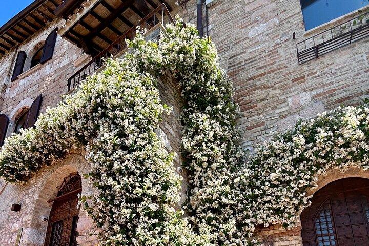 Tour guiado de la Asís Romana y Medieval