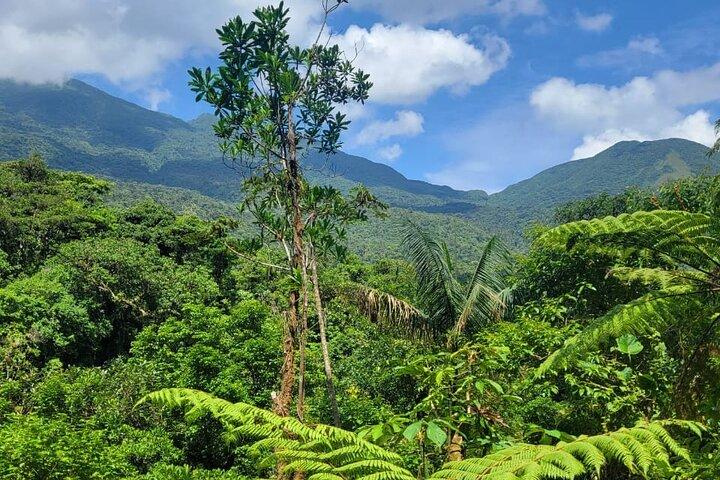 "Rio Celeste Waterfall, Cacao & Cofee tur og Sloth Adventure