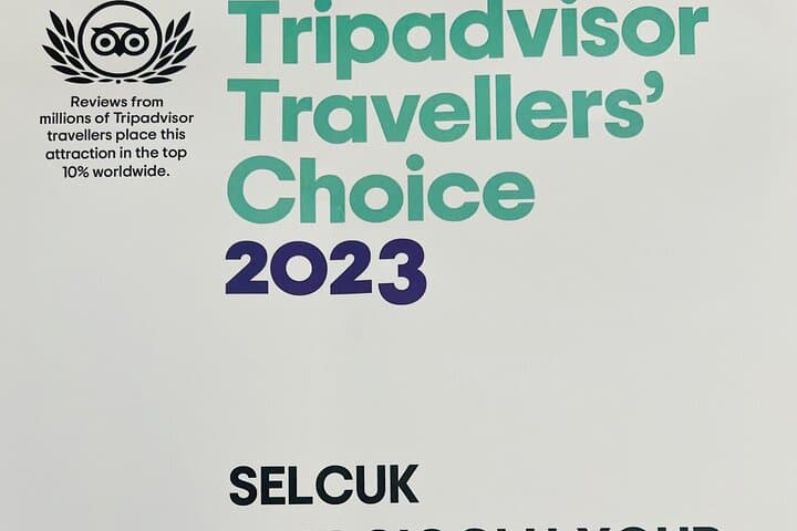 Private Guided "Energy of Istanbul-Skip the Ticket Line" Tour