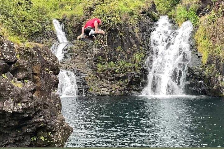 マウイ魔法の滝とジャングルツアー: 花への道