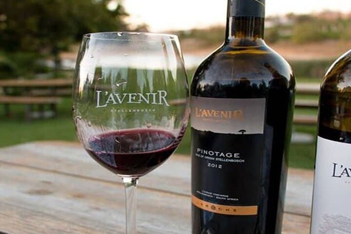 8 Hours Private Wine Tasting Tour in Stellenbosch to Franchhoek