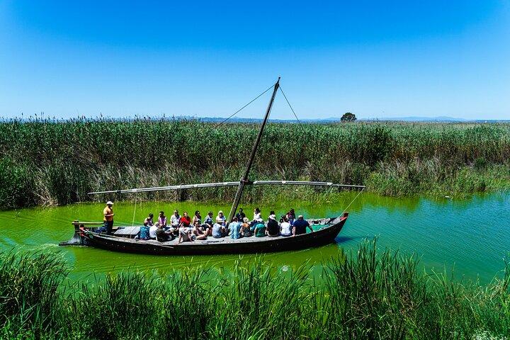 Albufera Private Tagestour : Paella, Bootsfahrt und Naturwanderung