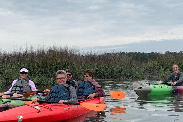 2 1/4 Hora de Kayak Privado Hilton Head Dolphin Nature Experience
