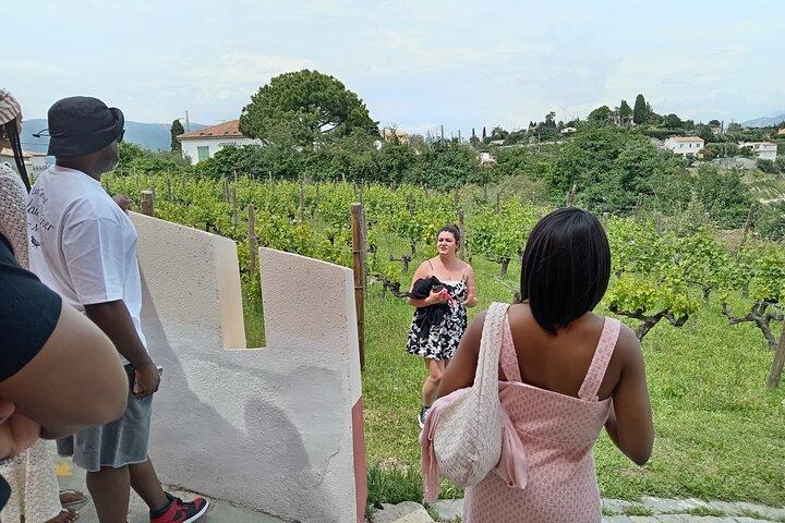 Degustazione di vini nel bel gusto della Provenza