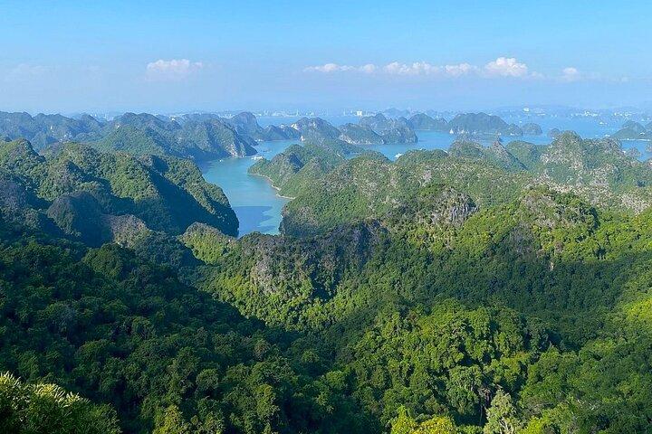Heldagseventyr: Trekking og vandreture i Cat Ba National Park