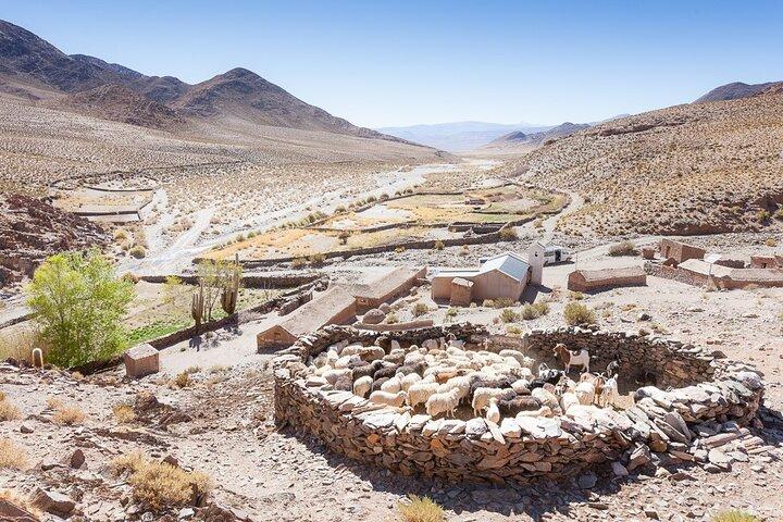 San Antonio de los Cobres: dagtocht vanuit Salta