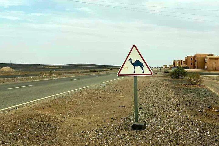 14 Tage von Casablanca Grand Tour