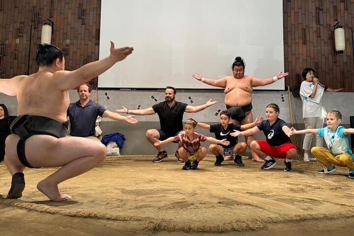Tokyo 6hr Private Guided Tour & Sumo Show Lunch