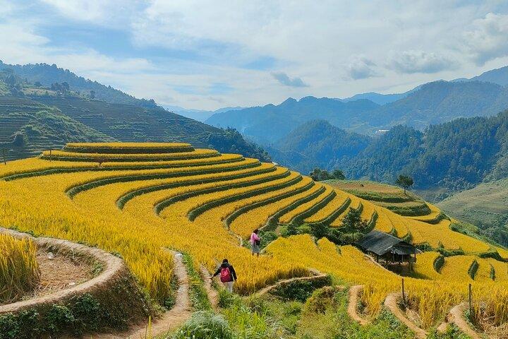 Halvdags privat vandring Mu Cang Chai_Morning eller eftermiddag