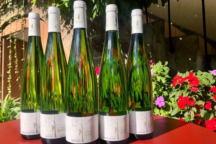 Visita e degustação de vinhos e tábua de queijos e enchidos