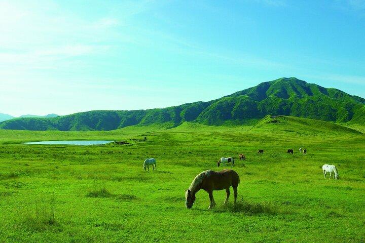 Da Kumamoto: tour privato all inclusive del Monte Aso e Takachiho