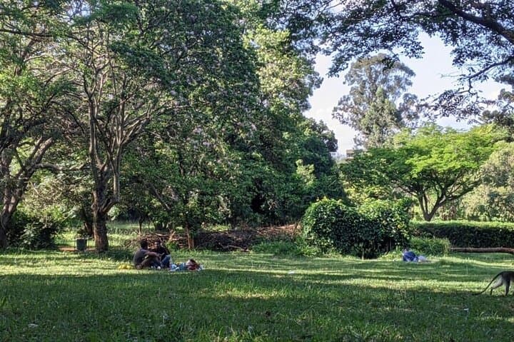 Private Day Tour to Nairobi Arboretum and Nairobi National Museum