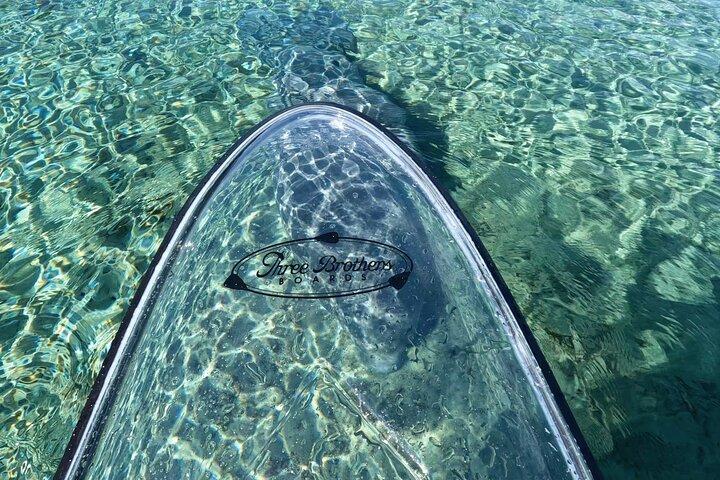 Excursão de Kayak em Silver Springs – Manatees & Monkeys Tour