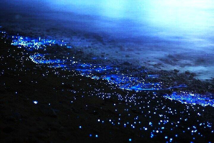 Sunset Tour of the Hong Islands with Bioluminescent Plankton