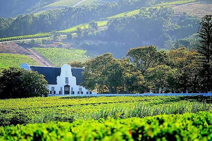 8 Hours Private Wine Tasting Tour in Stellenbosch to Franchhoek