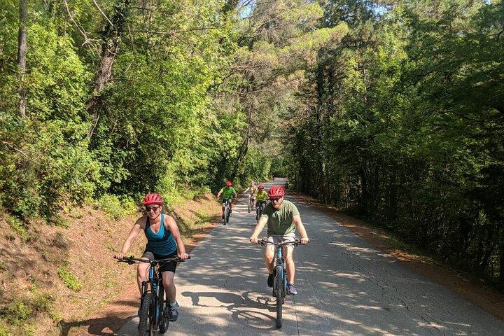 E-cykeltur: Istriens landskab og Parenzana