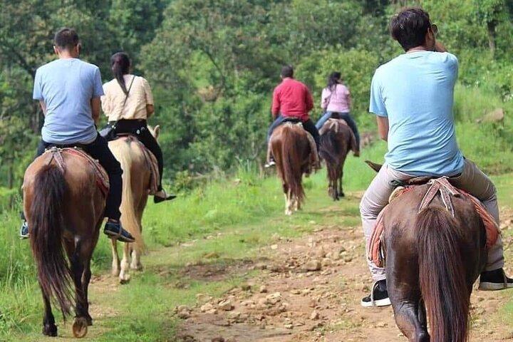 ポカラのサランコットまで5時間の乗馬