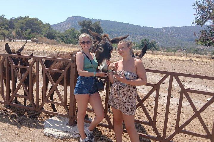 Paphos: passeio de jipe pelo desfiladeiro de Akamas e Turtle Bay e Donkey Farm