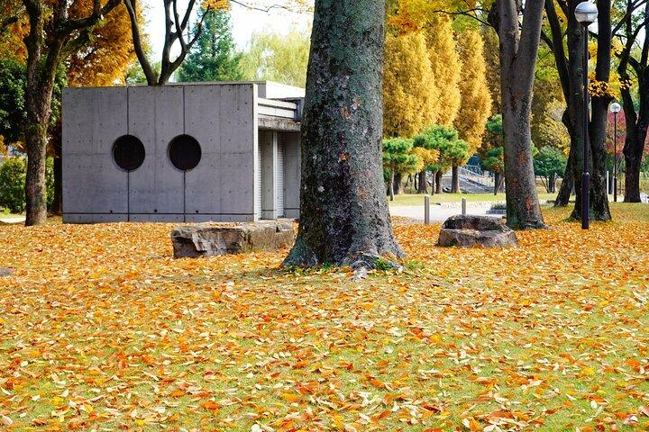 Excursión de un día a Tambasasayama desde Osaka