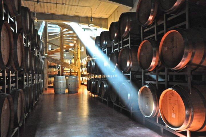 From Bucharest: Private Dealu Mare Wine Tasting Tour