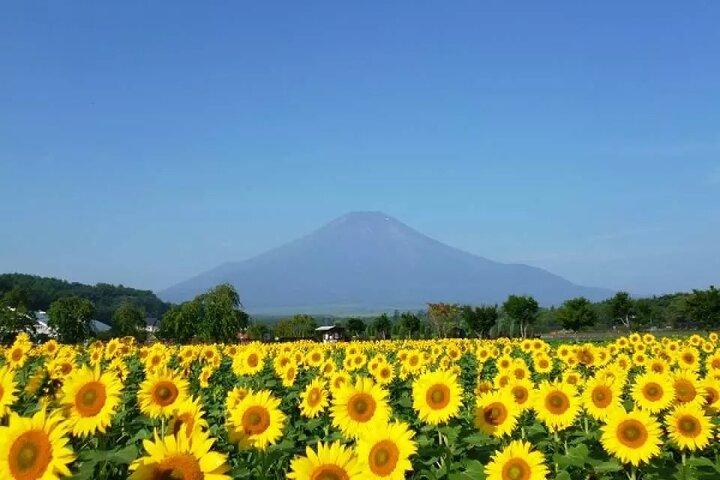Mount Fuji 5th Station, Oshino Hakkai och Swan Lake Day Tour