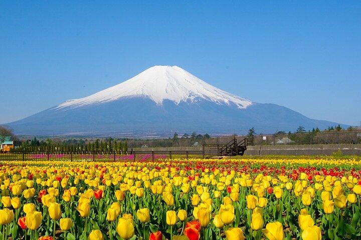 Mount Fuji 5th Station, Oshino Hakkai och Swan Lake Day Tour