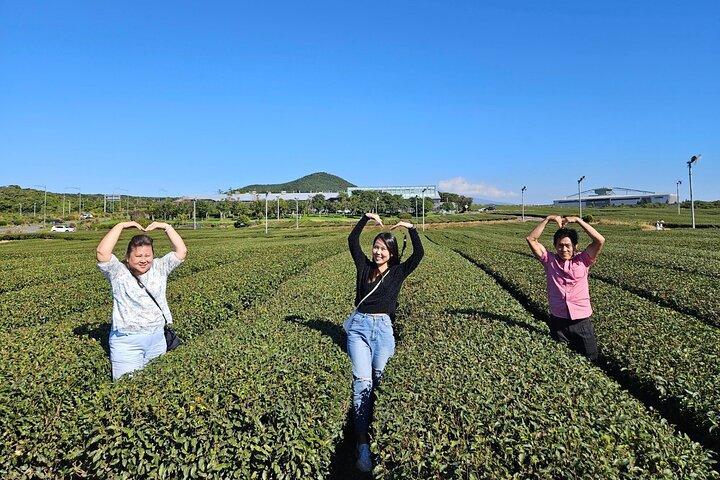 Jeju aangepaste privétour - Oost, West of Zuid