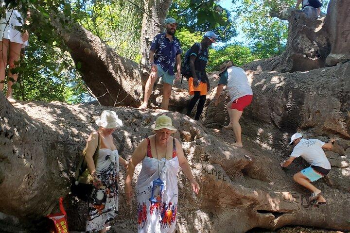 Full Day Safari Blue Sea Adventure in Zanzibar