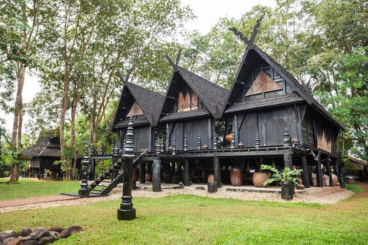 Chiang Rai White, Blue Temple, Black House Museum Hot Spring Tour
