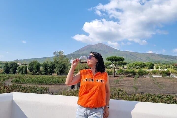 Pompeii: Wine Tasting Experience, Vineyards Tour and Full Lunch