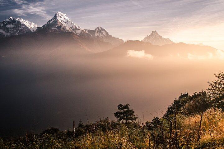 Privat 2-dages Poon Hill-vandring med måltider