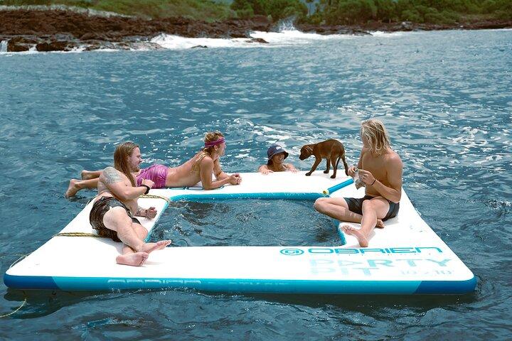2 Stunden Big Island Delfinbeobachtung und Meeresschildkröten Schnorcheltour
