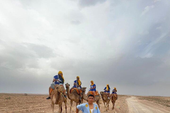Sunset Camel Ride in the Palm Grove of Marrakech