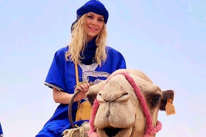 Sunset Camel Ride in the Palm Grove of Marrakech