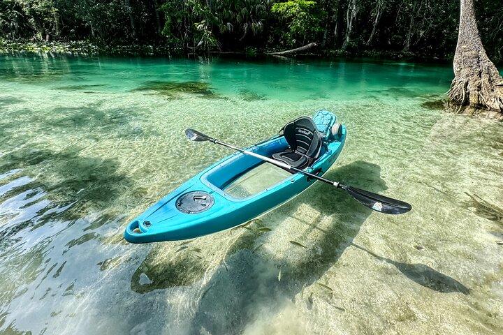 Silver Springs Glass Bottom Kayak SMALL GROUP Wildlife Tours
