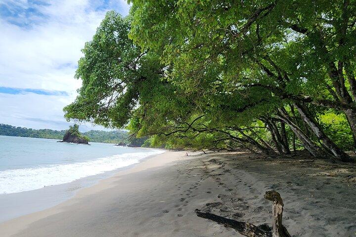 Manuel Antonio Beach & National Park Day Tour from San José