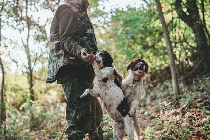 アルバ近郊でのトリュフ狩りとチーズ、トリュフ、ワインの試飲