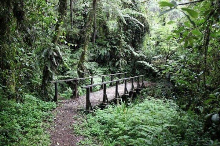 Dagtrip naar de Kilimanjaro vanuit Moshi